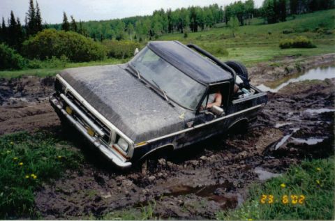 1979 Ford Bronco - It just seems that way.