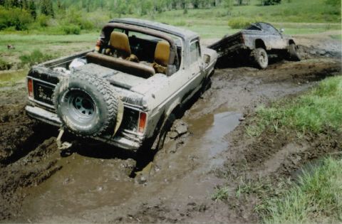 1979 Ford Bronco - Others get stuck too.