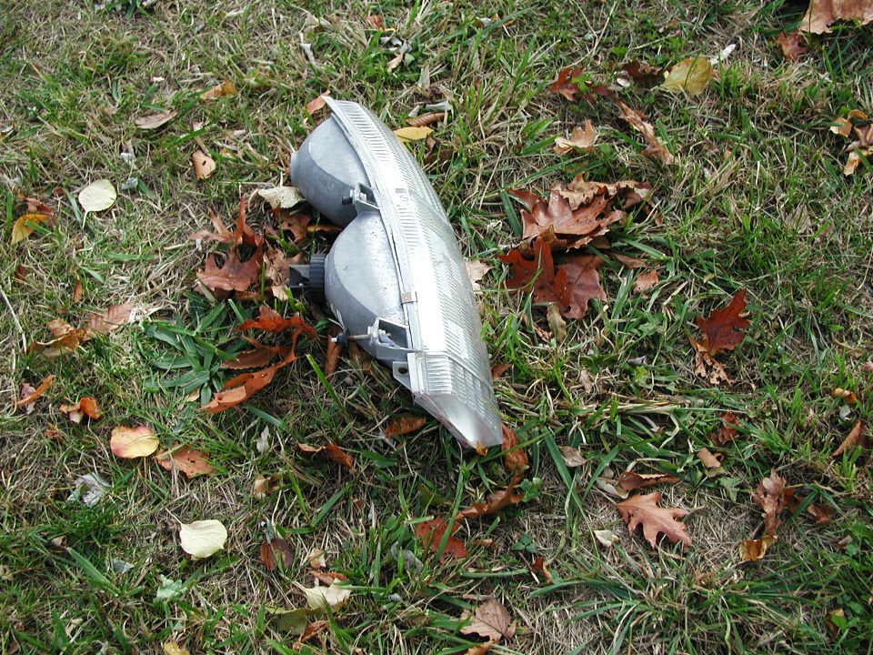 Headlight assembly lying on grass and fallen leaves