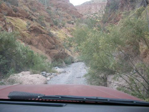 1984 Ford Bronco - It begins...
