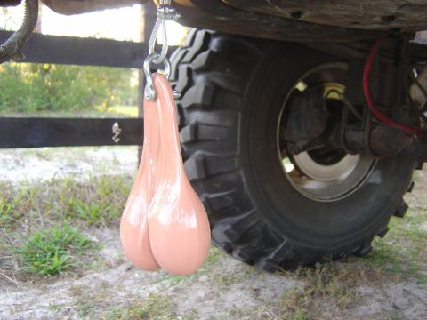 1993 Ford Bronco - A novelty accessory hangs from the rear of a vehicle, obscuring specific year and model details.