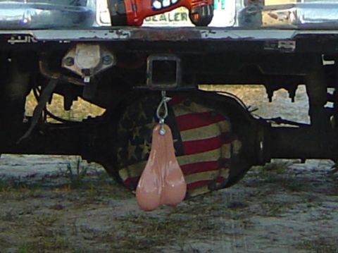 1993 Ford Bronco - The rear of a vehicle shows a differential cover with an American flag design and a novelty accessory.
