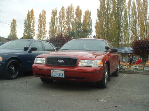 1999 Ford Crown Victoria - Two Ford Crown Victoria police cars parked outside a building with picnic tables.