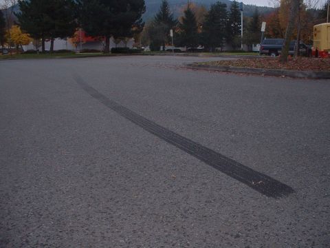 1999 Ford Crown Victoria - Tire marks are visible on the asphalt in a parking lot with trees and buildings in the background.