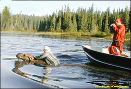 1996 Ford Bronco - A person in the water interacts with a beaver while another person in a boat photographs the scene.