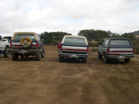 1990 Ford Bronco - Multiple Ford Broncos are lined up on a dirt path with trees in the background.