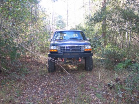 1995 Ford Bronco - This 1995 Ford Bronco is parked on a wooded trail, showing its front grille and custom bumper.