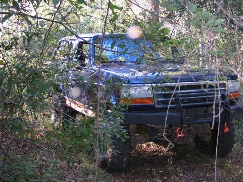 1995 Ford Bronco - A blue Ford Bronco is seen off-road, surrounded by trees and branches.