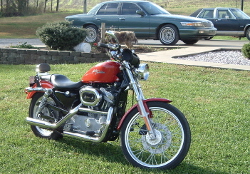 1995 Mercury Grand Marquis - A green 1995 Mercury Grand Marquis is parked in a driveway next to a motorcycle.