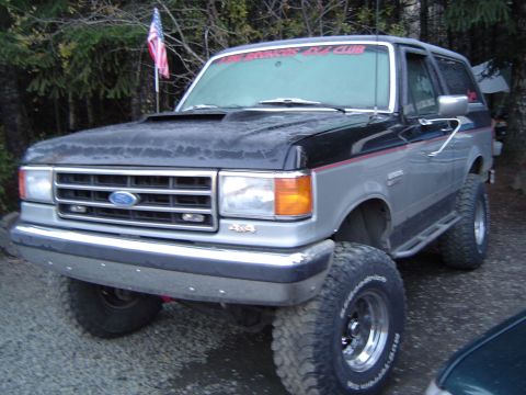 1989 Ford Bronco - Woke up sat morning to much frost