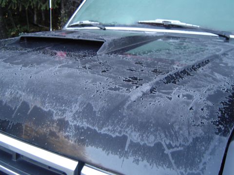 1989 Ford Bronco - Very chilly