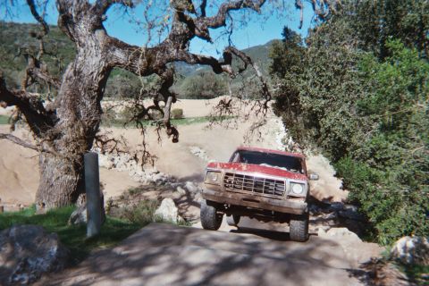 1978 Ford Bronco - A red 1978 Ford Bronco navigates a rough, off-road trail under a large, old tree.