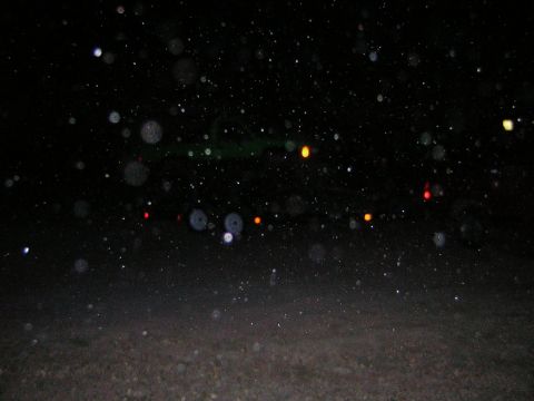 1995 Ford Bronco - Out-of-focus lights and particles create a bokeh effect in this nighttime scene.