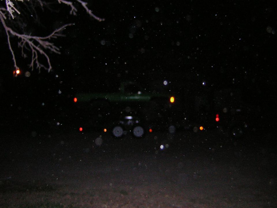 Dark SUV with taillights on, seen from behind at night. Some branches are visible in the upper left