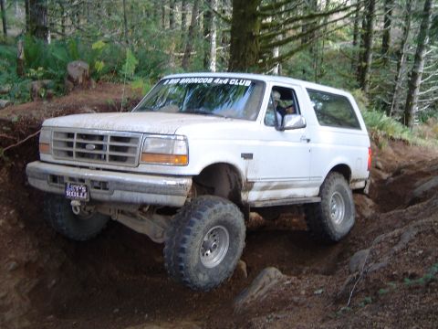 1989 Ford Bronco - Alvie on canopener