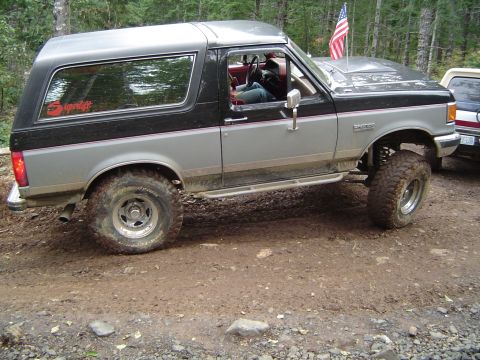 1989 Ford Bronco - My turn on the stump