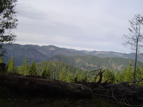 1989 Ford Bronco - Oregon scenery