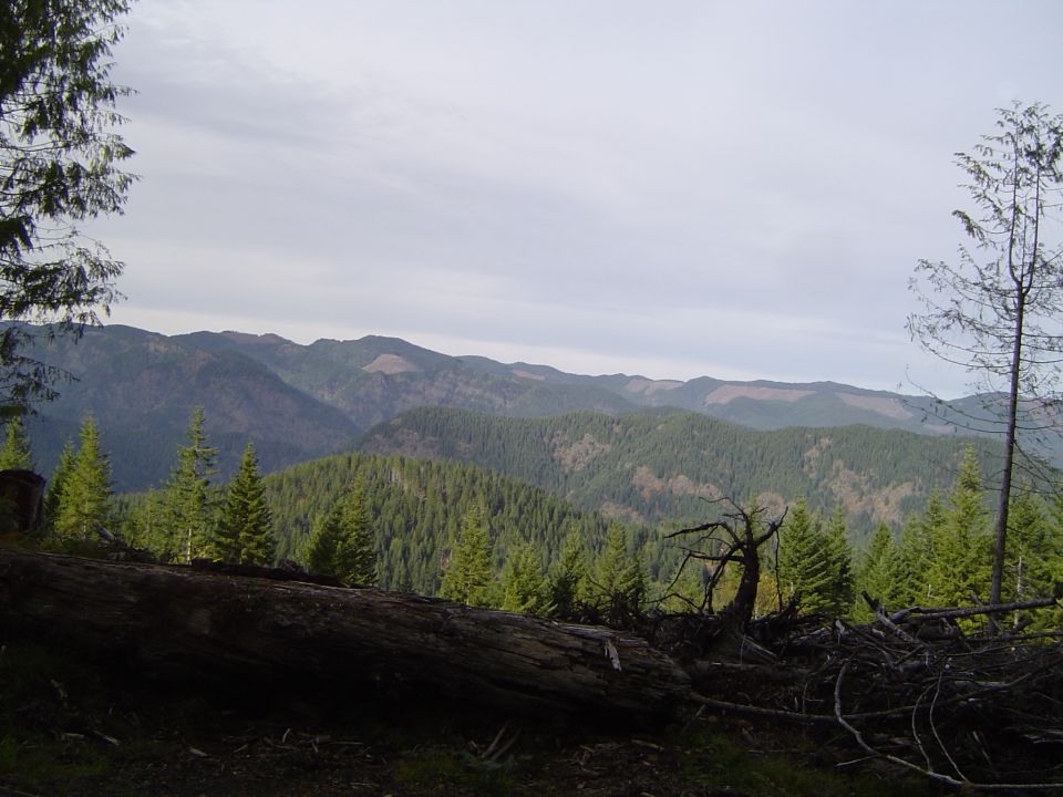 Oregon scenery