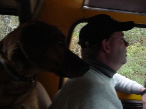 1987 Ford Bronco - tony and co-pilot