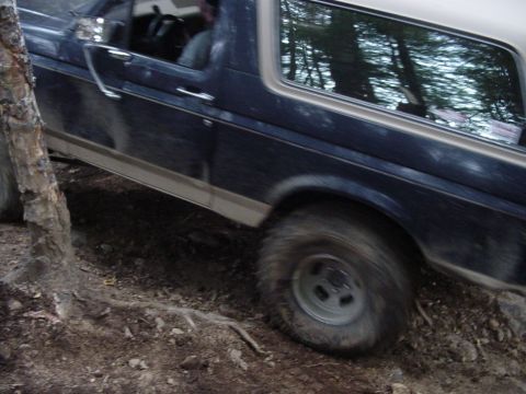 1987 Ford Bronco - notice the blue paint on the left side of that tree that todd left? ; )
