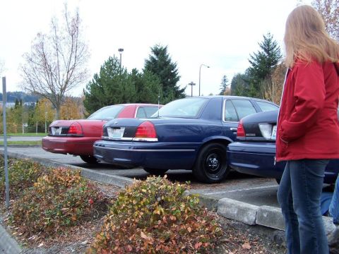 2001 Ford Crown Victoria - Ana stands back and supervises Ryan's work.