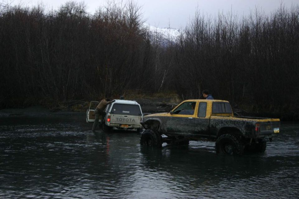 Yellow and black pickup truck and white Toyota truck in shallow water with trees in background