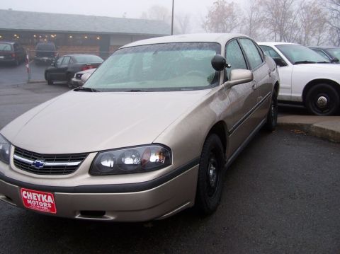 2001 Ford Crown Victoria - A tan Chevrolet Impala is parked in a lot on a foggy day, with a "Cheyka Motors" plate on the front.