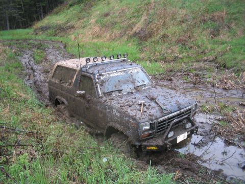 1986 Ford Bronco photo