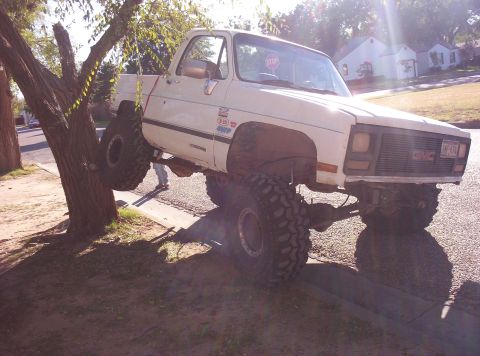 1988 Ford Bronco - A white GMC pickup truck with large tires is stuck with its front passenger wheel in a tree.