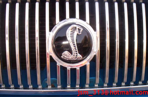 Cobra emblem on chrome grille