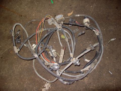 1986 Ford Bronco - Whole front to back wiring harness with those license light bulb holders, almost completely untouched for $15 CDN. My year !