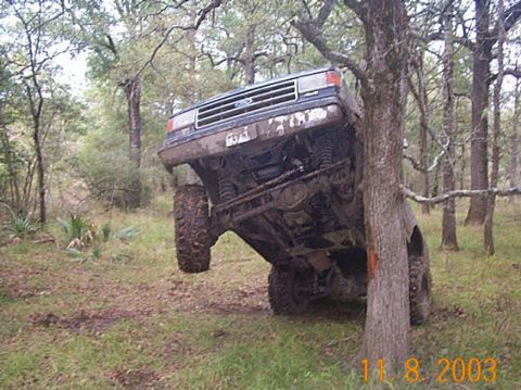 1978 Ford Bronco - A Ford Bronco is stuck tilted against a tree in a wooded area.