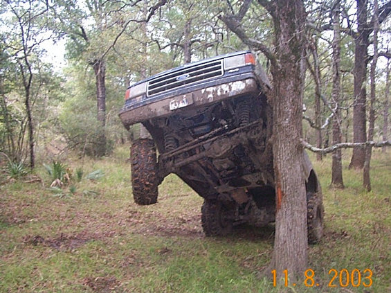 Mud-covered Ford Bronco tilted against a tree, front grille visible