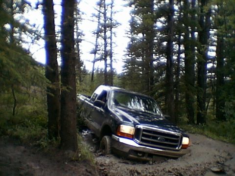 1999 Ford F-250 - A dark blue Ford F-250 navigates a muddy trail through a forest.