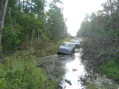 1993 Ford Bronco - Several trucks are stuck in a flooded dirt road surrounded by trees and fallen branches.