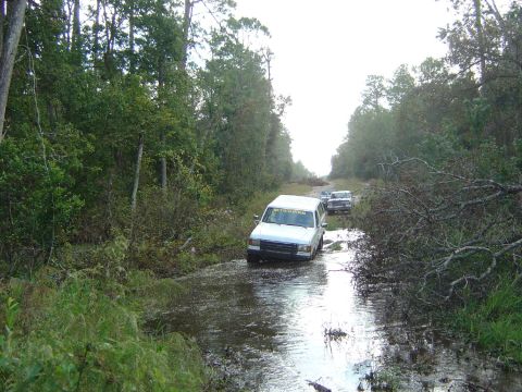 1993 Ford Bronco - A white 1993 Ford Bronco navigates a flooded, wooded path, with another vehicle following behind.
