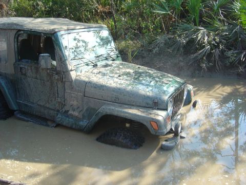 1993 Ford Bronco - Jeep Wrangler deep in mud, tires submerged. Vegetation surrounds the scene.
