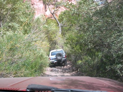 1984 Ford Bronco - Scenic trail into Martinez Cabins.