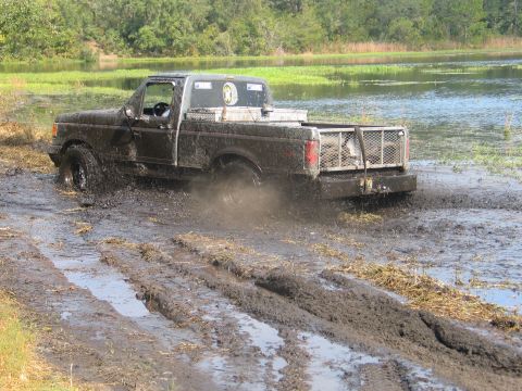 1992 Ford Bronco - new sport: ponding