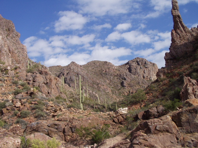 Rocky desert canyon with saguaro cactus and a jagged rock spire under blue sky