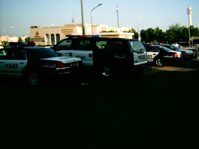 Side view of police vehicles including a van and sedans