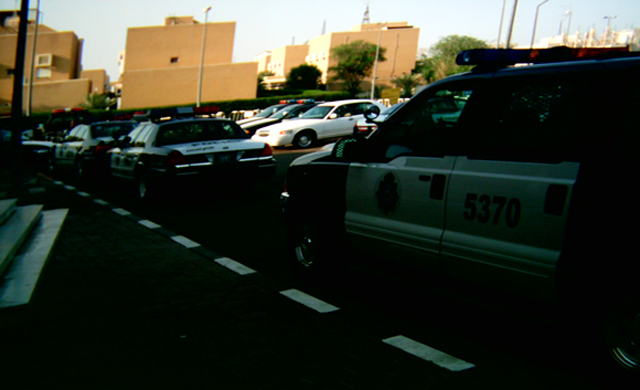 Several police cars lined up on a street, one has 5370 on the side