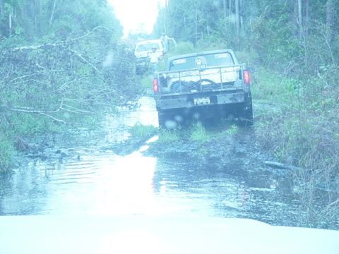 1989 Ford Bronco - Trucks drive through a muddy, waterlogged trail surrounded by trees.