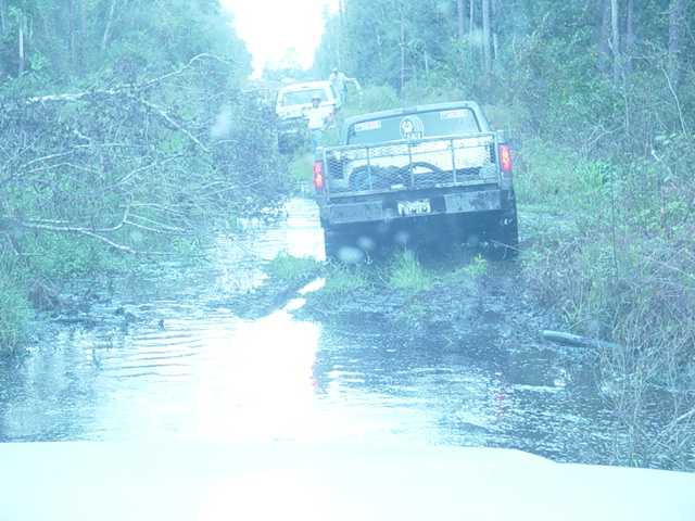 Two trucks navigate a muddy, water-filled path in a wooded area