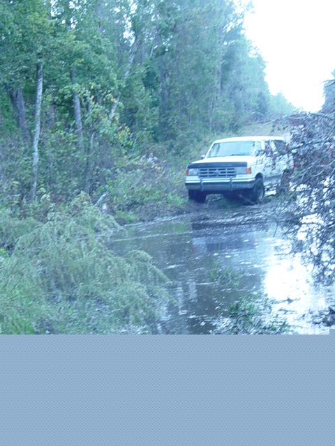 1989 Ford Bronco - A white 1989 Ford Bronco navigates a wet and muddy path surrounded by dense foliage.