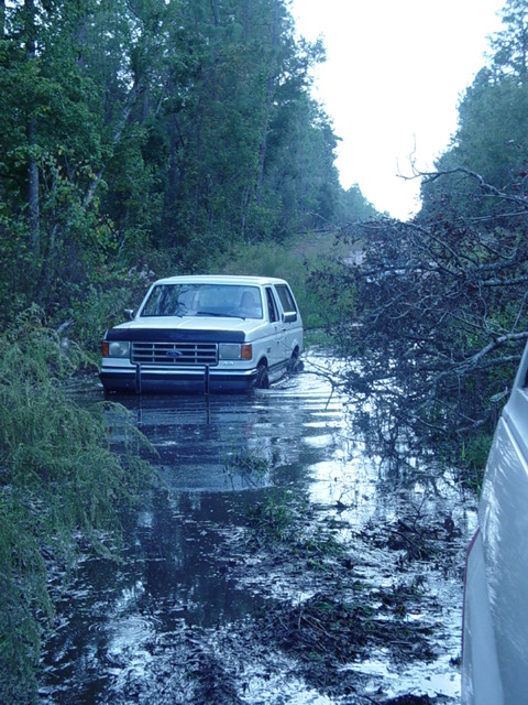 1989 Ford Bronco - A Ford Bronco navigates a flooded path surrounded by trees and debris.