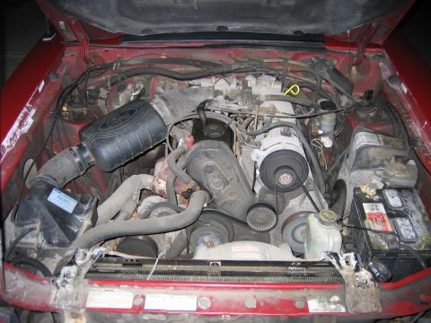 1987 Ford Mustang photo