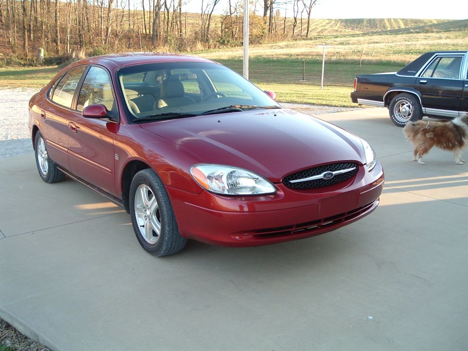 Maroon Ford Taurus sedan parked on driveway with dog and second car