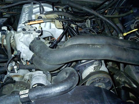 1987 Ford Bronco - Close-up view of the engine bay of a 1987 Ford Bronco, showing various hoses and mechanical components.