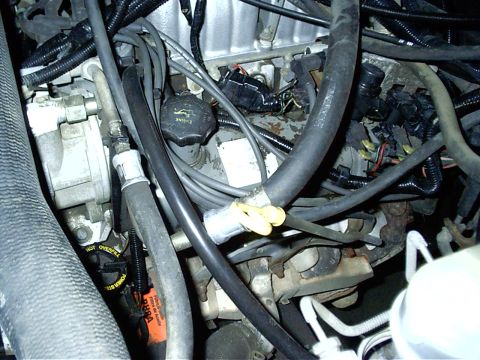 1987 Ford Bronco - Close-up view of an engine bay, showing various hoses, wires, and the engine oil cap.